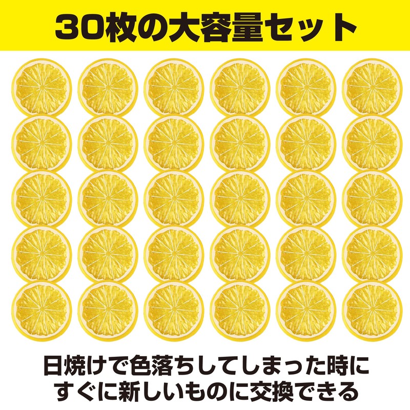 HAMILO Food Sample, Fruit, Lemon, Cut Round, Display, Set of