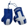 AT Brands Mini Boxing Gloves Sports Souvenirs Auto Displays - (Quebec)