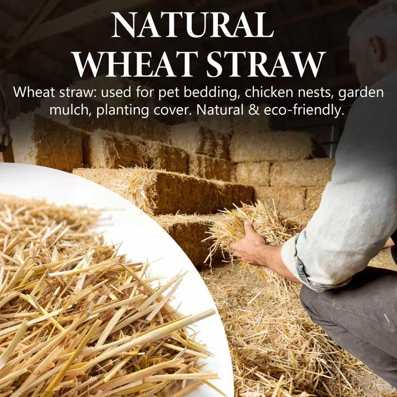 VNAKER Natural Dry Wheat Straw for Garden Mulch Stray Cats
