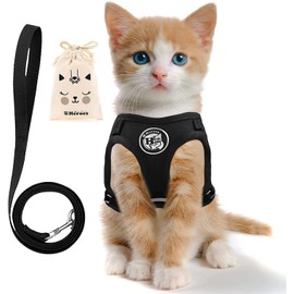 Heroes Cat Harness Set, Cat Lead, Walk Set, Cat Harness, No Shedding Safe, Double Lock, Easy to Install, Size Adjustable, Breathable, Easy to Use in Disasters (M, Go Black Solid (Solid Color)