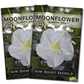 Sow Right Seeds - Moonflower (Ipomoea alba) Flower Seeds for Planting - Beautiful Flowers to Plant in Your Home Garden - Non-GMO Heirloom Seeds - Tall Annual Great for Cut Flowers - Wonderful Gift (2)