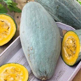 Eden Brothers Squash (Winter) Seeds - Guatemalan Blue Non-GMO Seeds for Planting, 1 oz | Low-Maintenance Vegetable Seeds, Plant During Warm Season, Zones 10, 3, 4, 5, 6, 7, 8, 9