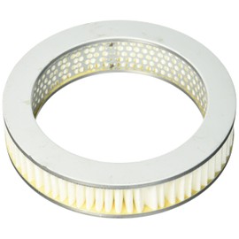 IPS Parts j|ifa-3802 air filter