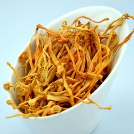 DABC OAK LAND 1 LB Cordyceps Flower, 100% Natural Dried Cordyceps Mushroom 虫草花 蟲草花 干货煲汤 Supports Energy & Immune Function for Soup/Cooking/Cooling/Tea