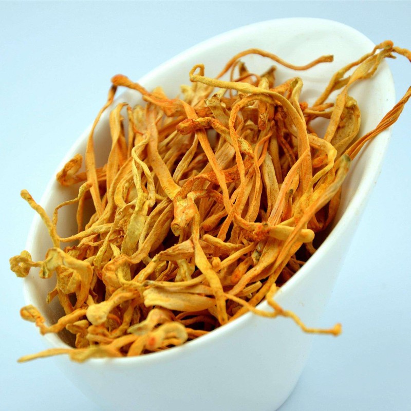 DABC OAK LAND 1 LB Cordyceps Flower, 100% Natural Dried