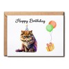 NALSDesigns Happy Birthday Cat Card - Persian Cute Birthday Card