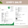 Hericium Powder from 10:1 Extract, 100 g, Highly Concentrated, Free
