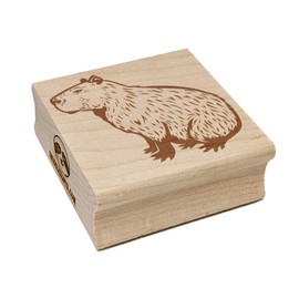 Capybara The Giant Friendly Rodent Square Rubber Stamp for Stamping Crafting - 2.75in Large