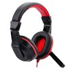 TEHAUX Adjustable Stereo Headset with Mic Wired for Laptop Noise
