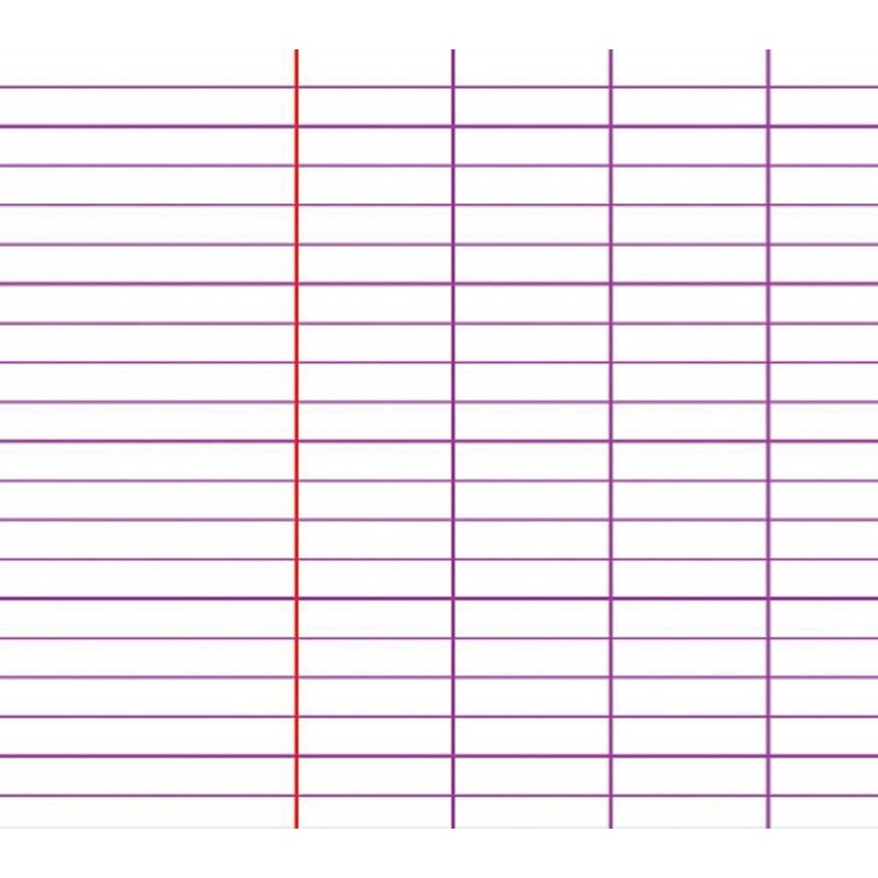 Clairefontaine 3371C A Stapled Notebook, 24 x 32 cm, 120