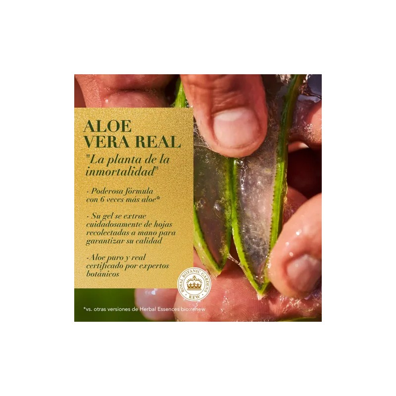 Shampoo Herbal Essences Bio:Renew 6X Aloe & Mango Protege &