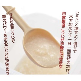 ヨシカワ(Yoshikawa) 塩こうじポット 【自家製塩こうじが手軽にできる】 ベージュ 10.8×10.8×17.7cm 発酵食堂 SJ1664