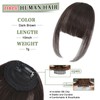 Carendia Clip in Bangs for Women - 100% Real Human