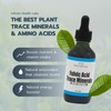 Fulvic Acid Trace Minerals Supplement - 169 Servings - Humic