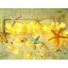 Cynzia Natural Seashells String Lights, 40LED Beach Decoration USB Plug
