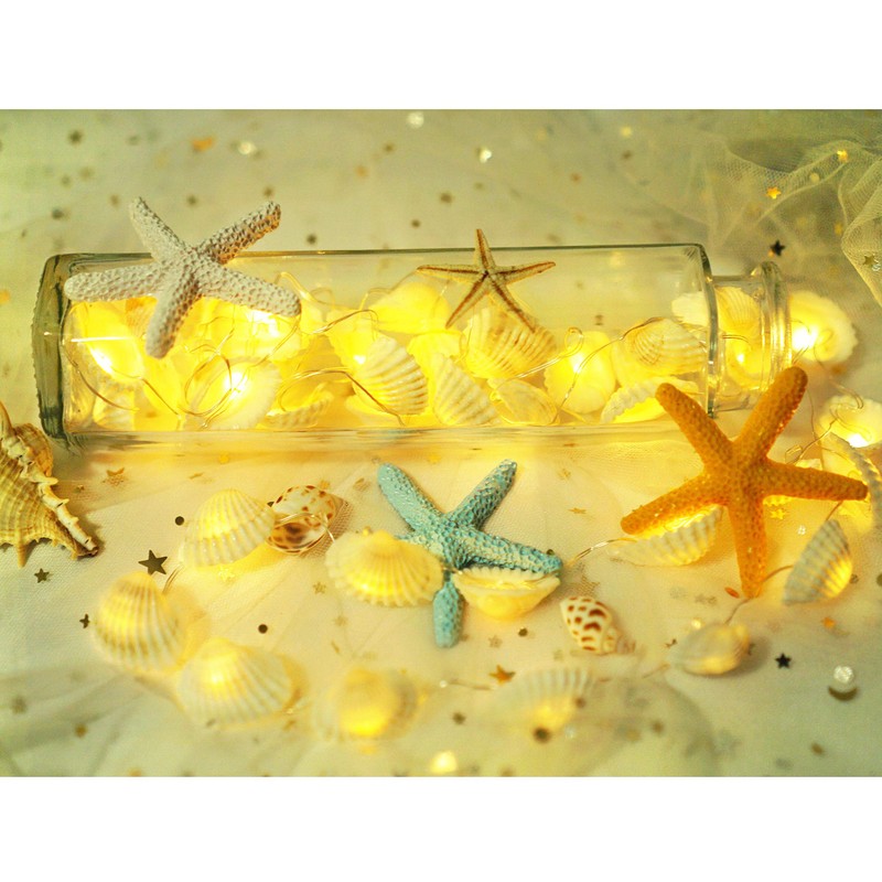 Cynzia Natural Seashells String Lights, 40LED Beach Decoration USB Plug