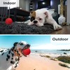 Dog Squeaky Toys Dog Chew Toys for Aggressive Chewers Indestructible