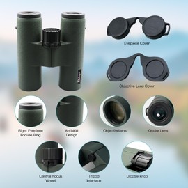 8x32ED Compact Binoculars for Adults – High-Powered BAK4 Prisms, Diamond White Coating, Waterproof & Fogproof, Rubber Armored – Ideal for Bird Watching, Hunting, Travel, Outdoor Sports