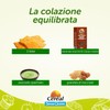 Céréal Fette Croccanti, Fette con Farina di Mais, Farina di