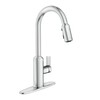 Moen Meena One Handle Kitchen Faucet with Pull Down Sprayer,