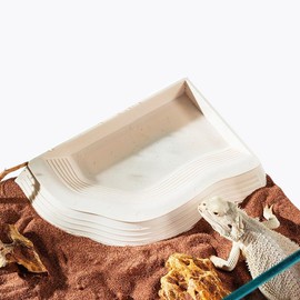 Reptile Ramp Water Bowl Dish Reptile Bathing Pool Feeding Dish Water Bowl with Ramp Aquarium Ornament for Gecko, Snake, Turtle, Bearded Dragon, Lizard Bath (White)