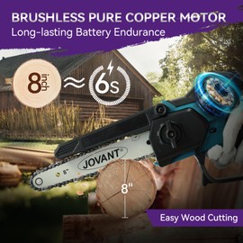2-in-1 Cordless Chainsaw, 20V 8-Inch Mini Chainsaw Cordless with An 8-Inch Guide Plus Chain, a 4000MAH battery, and A Charger. Great Gardening Rool For Garden, Home and Tree Pruning