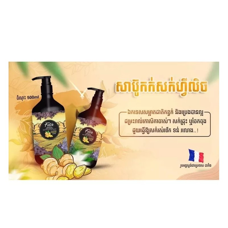 Felix Argan Oil Hair Shampoo សាប៊ូកក់សក់ហ្វ