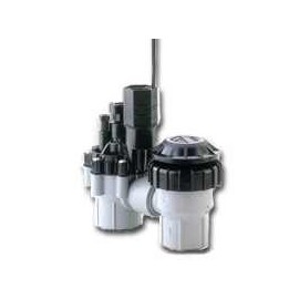 Rain Bird Anti-Siphon Valve 3/4 in. 150 psi