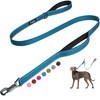 Fida 4 FT Heavy Duty Dog Leash with 2 Comfortable