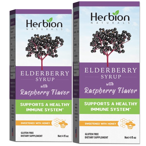 Herbion Naturals Elderberry Syrup 4 fl oz ? Healthy Immune System for Adults and Children (1 Year) - Honey Sweetened with Natural Raspberry Flavor - No Artificial Ingredients - USA. (Pack of 2)