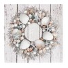 ANDALUCA Coastal Spring & Summer Seashell 20" Wreath Natural Preserved