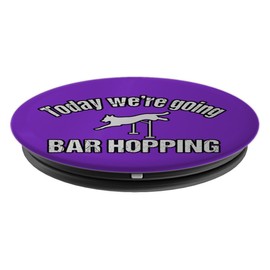 Agility Dog Bar Hopping Purple