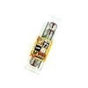 KATSUICHI IKA Kura, Squid Ichiban Aori Special IS-24 (M Size)