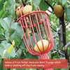 Home-X Fruit Picker Basket - Sturdy Tree Picker Tool with