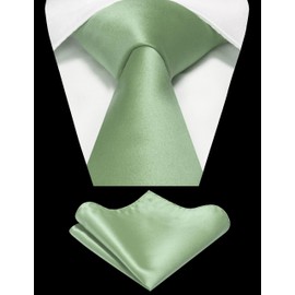 RBOCOTT Sage Green Tie and Pocket Square Necktie with Tie Clip Set(8cm-42)
