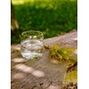 TC Mythos gold - Elegant Mythos glass with Flower of