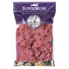 SuperMoss 25126 Reindeer Mosss Preserved, 80.75 Cubic inch (in3) Bag