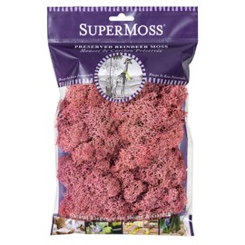 SuperMoss 25126 Reindeer Mosss Preserved, 80.75 Cubic inch (in3) Bag (Appx. 2oz), Dusty Rose