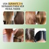 Juego de Champú y Acondicionador para el Crecimiento del Cabello