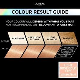 L'Oréal Paris Permanent Hair Colour, Long-Lasting Shine and Intense Colour, For up to 8 Weeks, Preference Vivids (Colorista), Light Rose Gold 9.23, x1 pack