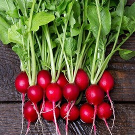 POPPA IN THE GARDEN 300 Radish Seeds Cherry Belle Radish Non-GMO Vegetable USA  Great flavor mild .