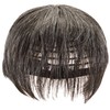 Priscilla GB-22-TDGH Men's 5-Minute Wig, Layer Short