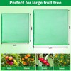 Fanfanwin 2 Packs 10 x 10 ft Large Fruit Tree