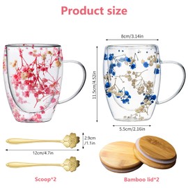 Pack of 2 Double-Walled Coffee Cups with Dried Flower, 350 ml Double-Walled Glasses with Handle, Flowers Double Layer Glass Cups, Dried Flower Coffee Cups, Macchiato Glasses with Dried Flowers for Tea