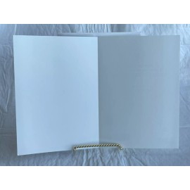 Healthy Planet Products Vintage Healthy Planet Greeting Card Blank Sierra Club ~ Cheetah With Cubs