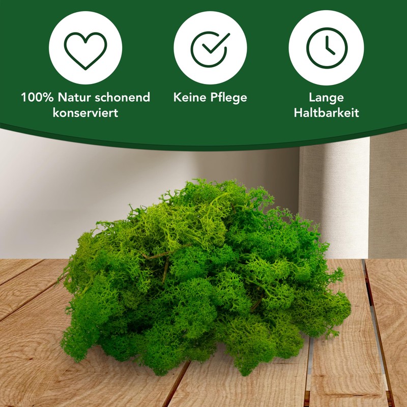 sphagnum-shop.com Real Reindeer Moss in Light Green 200 g for