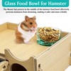 BNOSDM Hamster Food and Water Bowl Mountain Fuji Style Glass