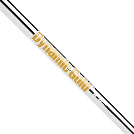 True Temper Dynamic Gold 105 R300 Regular Flex Iron Shafts - .355 Taper Tip (Choose Length) (40.5" 2-Iron)