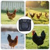 Chicken Saddle for Hens, 7.48 Inch Comfortable Hen Aprons with