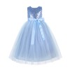 Heart Cutout Sequins Tulle Flower Girl Dress Social Events Parties